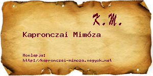 Kapronczai Mimóza névjegykártya